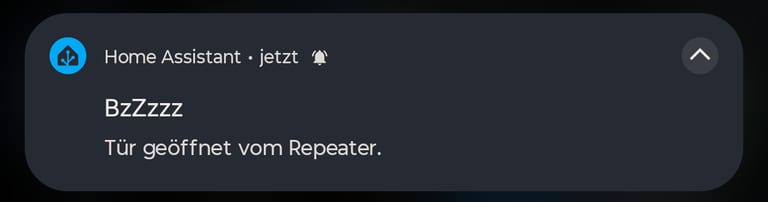 Benachrichtigung mit Titel BzZzzz und dem Text Tür geöffnet vom Repeater.